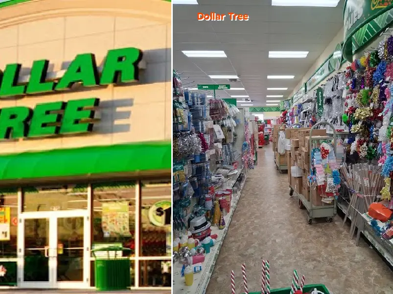 dollar tree