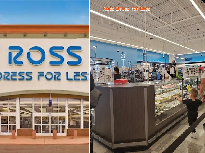ross dress for less 33614
