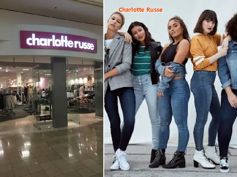 charlotte russe 33609