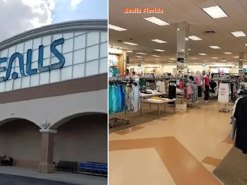 bealls florida 33803