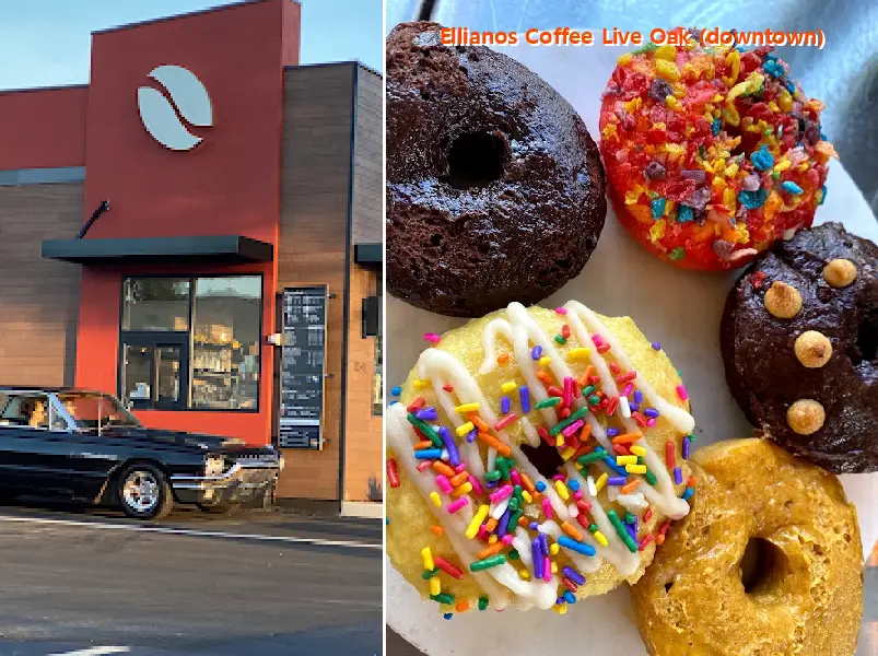 Top Rated  14 Clothing Stores in Live Oak, Florida