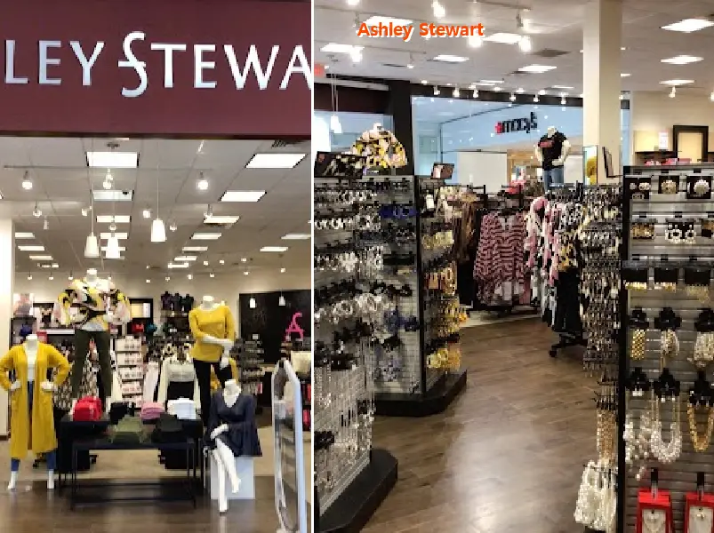 ashley stewart 31406