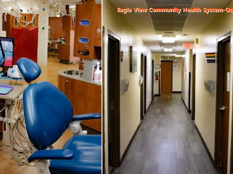 eagle view community health system oquawka