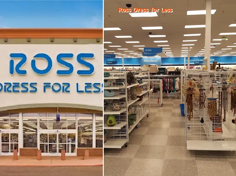 ross dress for less 60134