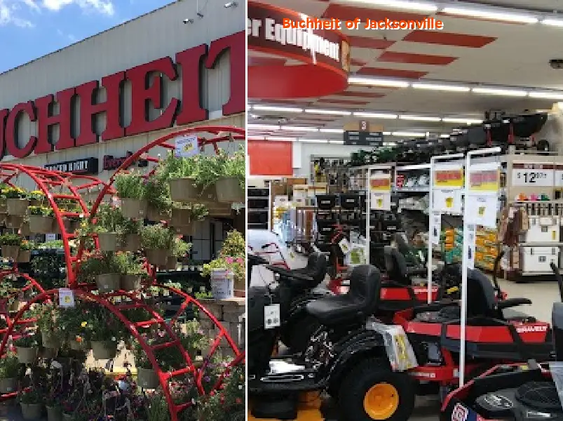 buchheit of jacksonville